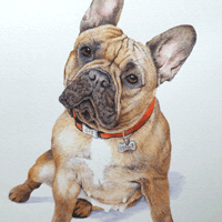 Karen Frampton, New Forest Artist, paintings, greeting cards, murals, slate, Hampshire, UK